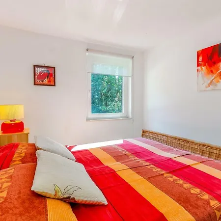 Zita كلارجيفيكا